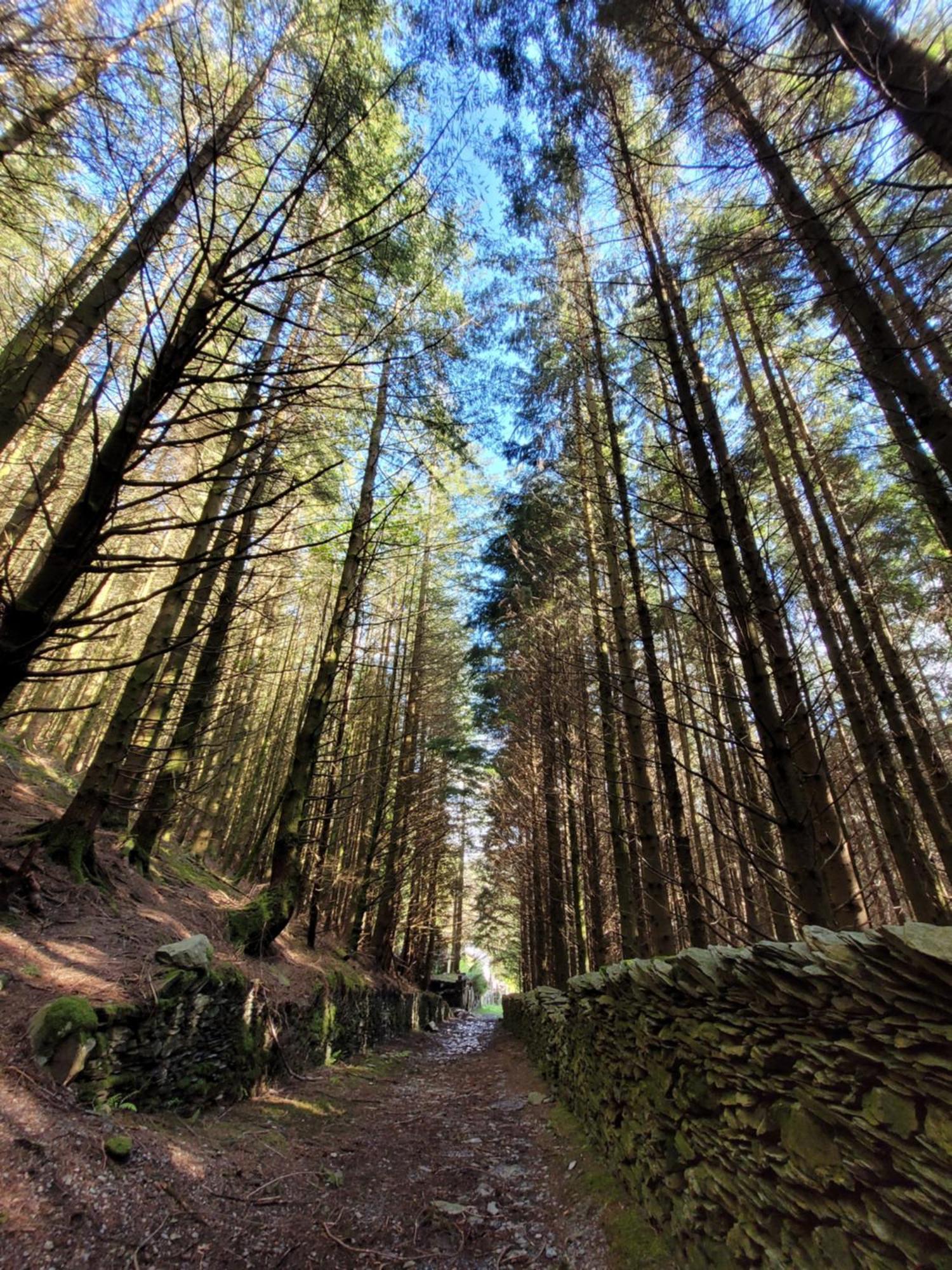 The Granary Corris On The Edge Of The Dyfi Forest المظهر الخارجي الصورة