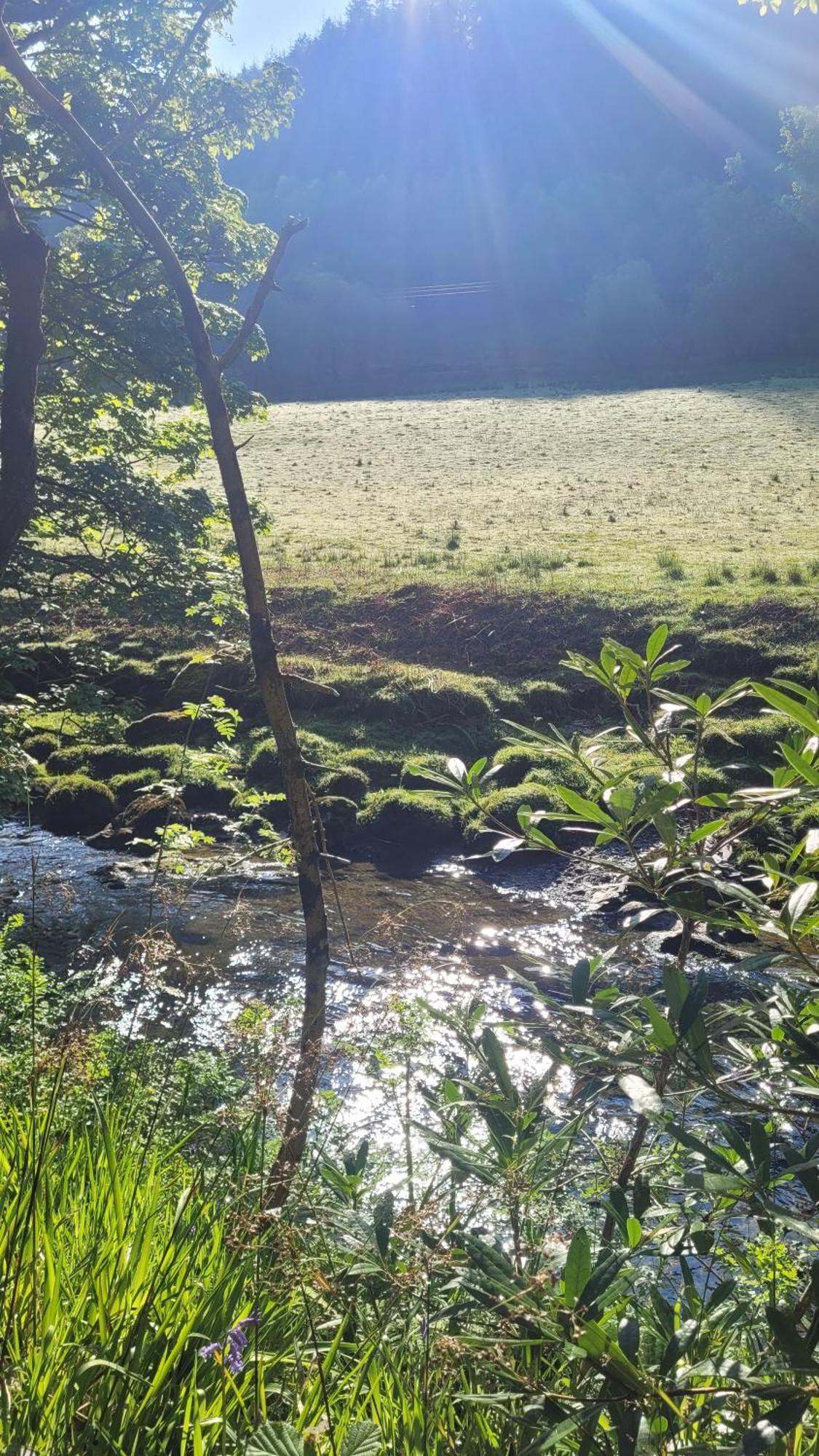 The Granary Corris On The Edge Of The Dyfi Forest المظهر الخارجي الصورة