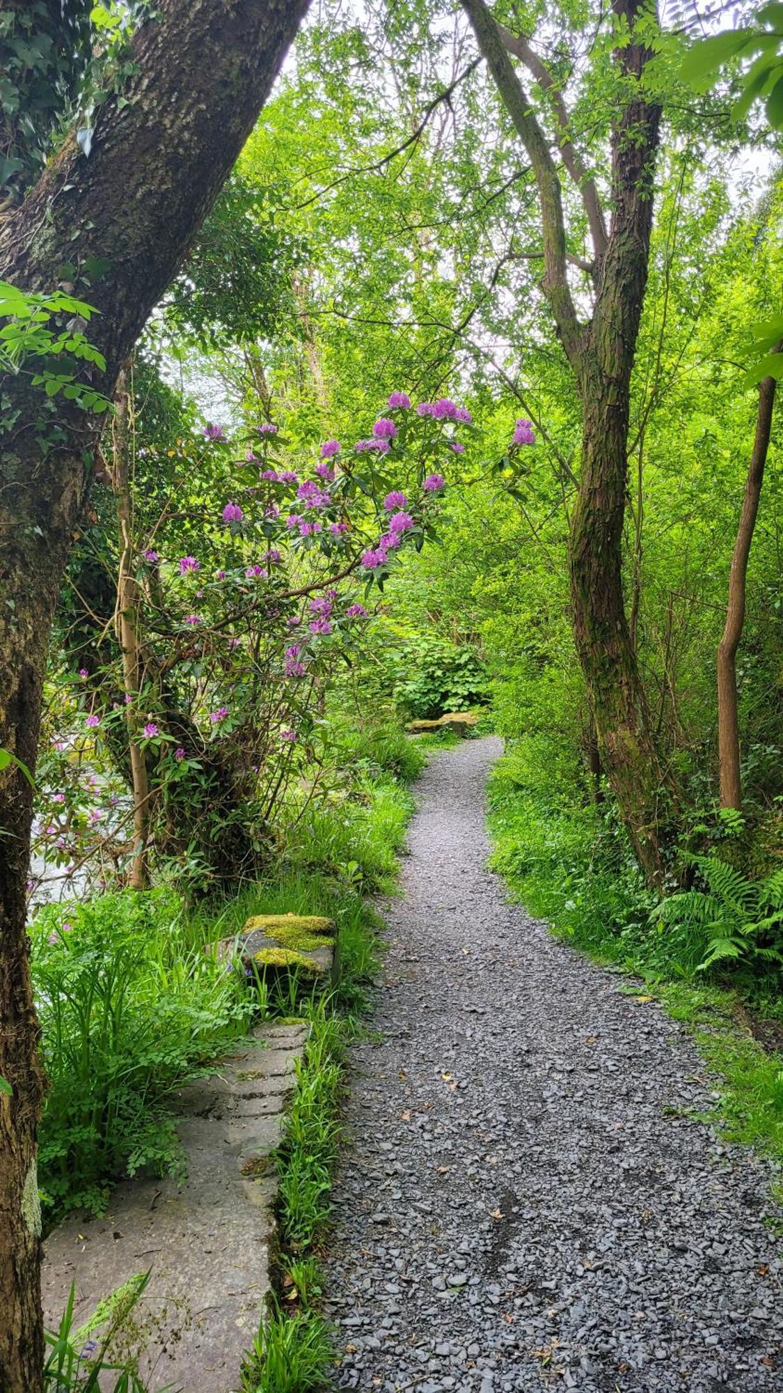 The Granary Corris On The Edge Of The Dyfi Forest المظهر الخارجي الصورة