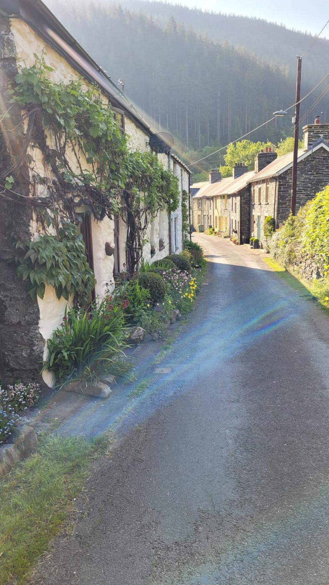 The Granary Corris On The Edge Of The Dyfi Forest المظهر الخارجي الصورة